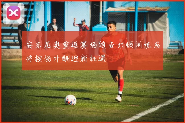安东尼奥重返赛场随查尔顿训练或将按场计酬迎新机遇